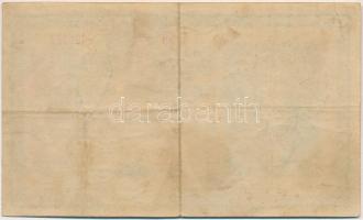 1918. 25K "3123" 3mm, sima hátlappal, hamis "Krassó-Szörény Vármegye Boksánbánya Közs...