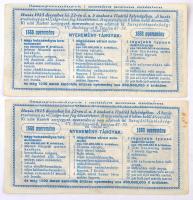 1925. "Hadirokkantak, Hadiözvegyek, Hadiárvák Nemzeti Szövetsége Tárgysorsjátéka" sorsjegy...