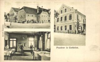Cerknica, Hotel Zumer, biliard hall, interior. Zalozil Zummer (EK)