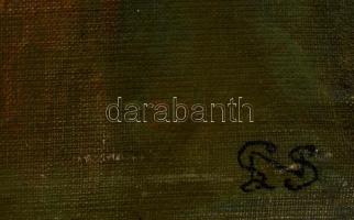 SNS jelzéssel: Angyal. Olaj, vászon-karton, kopott, 42×30 cm