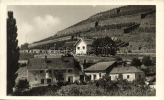 Badacsony, Kisfaludy ház (EK)