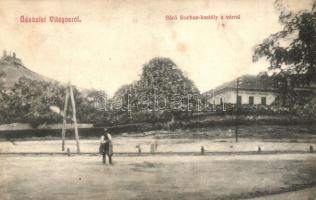 Világos, Siria; Báró Bochus kastély a várral / castles (fl)