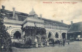 Pankota, Pancota; Herceg Sulkovszky kastélya / castle  (EK)