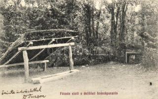 Deliblát, Deliblato; Fácánetető a delibláti homokpusztán / pheasant feeder in Deliblato Sands (EK)