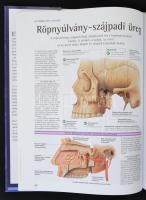 Abrahams, Peter: Az emberi test atlasza. Teljes áttekintés testünk működéséről. Bp., 2003, Gabo. Kar...