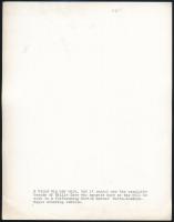 cca 1930 Billie Dove színésznő, divatfotó, hátulján feliratozva, 26×20,5 cm