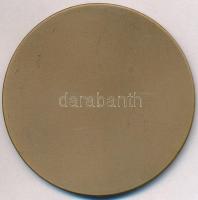 Csúcs Viktória (1934-) ~1970. "Eredményes propaganda munkáért" Br emlékplakett, eredeti to...