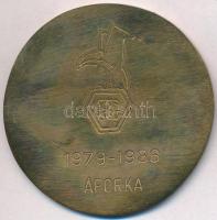 DN "Országház" öntött Br plakett, hátoldala gravírozva, eredeti tokban (68mm) T:2