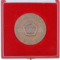 Vincze Dénes (1914-1972) DN "A Vállalat Kiváló Brigádja" Br plakett, dísztokban (70mm) (2x...