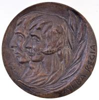 1980. "Felszabadulási Nemzetközi Műkorcsolya Verseny Székesfehérvár / Alba Regia" Br plakett. Szign.: SZ.A (100mm) T:2 ph.