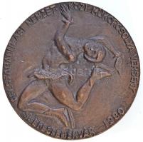 1980. "Felszabadulási Nemzetközi Műkorcsolya Verseny Székesfehérvár / Alba Regia" Br plake...