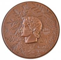 Franciaország 1968. "Grenoble - X. Téli Olimpiai Játékok" Br  emlékplakett. Szign.:J.H.COE...