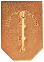 Franciaország 1968. "Grenoble - Delegáció" olimpiai aranyozott, zománcozott fém jelvény, h...