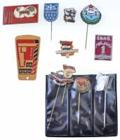 11db-os vegyes magyar jelvény és kitűző tétel, közte DN "Chinoin" Gyógyszer- és Vegyészeti Termékek Gyára kitűző (13mm), DN "Vasas Művészegyüttes" fém kitűző(16mm) T:2