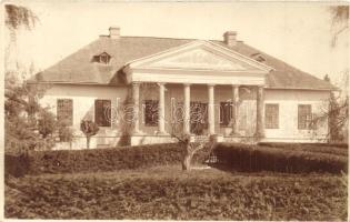 1916 Bustyaháza, Handalbustyaháza, Bustino; kastély / castle, photo (EK)