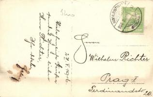 1916 Bustyaháza, Handalbustyaháza, Bustino; kastély / castle, photo (EK)