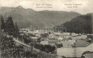Tölgyes, Gyergyótölgyes, Tulghes; látkép, Niszel Lőrinc kiadása / general view (EK)