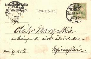 'Pro Libertate' / Rákóczi Ereklye Kiállítás Kassán, propaganda képeslap, Werfer Károly kia...