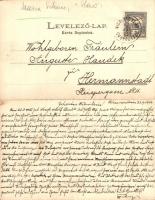 Újvidék, Pétervárad, Peterwardein, Petrovaradin; Maria Schnee / Kihajtható képeslap, Havas Boldogass...