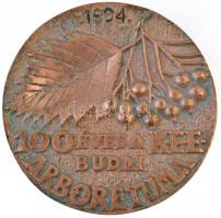 Rajki László (1939-) 1994. "100 éves a K.É.E. Budai Arborétuma / Räde Károly 1864-1946." a...