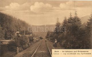 Skole, tor kolejowy pod Hrebenowem / railway track in Hrebenne