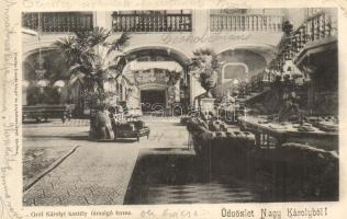 Nagykároly, Carei; Gróf Károlyi kastély társalgó terme / castle interior, hall