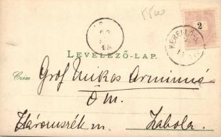 Kerelőszentpál, Sanpaul; Haller kastély / castle, photo