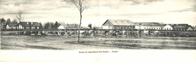 Unknown location, Scoala de Agricultura dela Roman, Ferma / Romanian School of Agriculture, farm, folding card (EK)