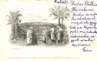 Szulamit előadás, Excelsior Fényirda felvétele, kiadja Brummel József