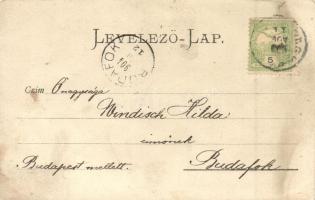 1904 Nagykomlós, Comlosu Mare; házudvar / villa garden, photo