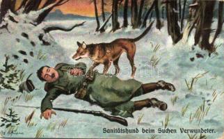 'Sanitätshund beim Suchen Verwundeter' / Paramedical dog searching the wounded soldiers s: Hoffmann (EK)