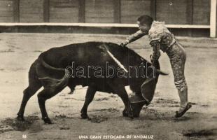 44 db MODERN sport motívumlap /  44 modern sport motivecards