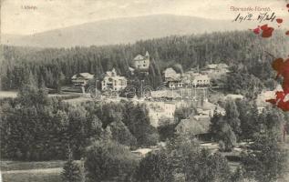 Borszékfürdő, Borsec; látkép / general view (fl)
