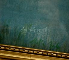 Balla jelzéssel: Pecás a tavon. Pasztell, papír, üvegezett sérült keretben, 23×32 cm