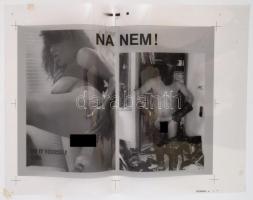 'Do it yourself girl' erotikus fotónegatív nyomdai levonata, 39x50 cm.