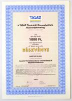 1997. "TIGÁZ Tiszántúli Gázszolgáltató Részvénytársaság" részvénye 1000Ft-ról, szelvényekkel T:I-