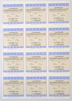 1997. "TIGÁZ Tiszántúli Gázszolgáltató Részvénytársaság" részvénye 1000Ft-ról, szelvényekk...