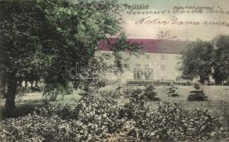 Törökbálint, Meller Rudolf kastélya, Eckstein Adolf kiadása (r)