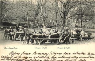 Karánsebes, Caransebes; Teusi idyll, H. Rosenfeld kiadása / Teuser Idyll / park