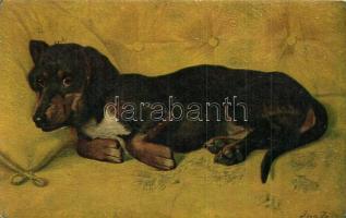 4 db RÉGI kutyás motívumlap, köztük 1 litho lappal / 4 pre-1945 dog motive postcards, among them 1 l...