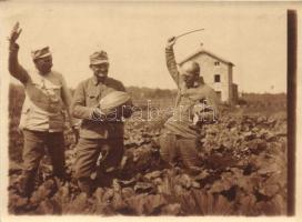 12 db RÉGI első világháborús katonai fotólap, K.u.K. katonák koccintás és főzés közben, csoportképek...