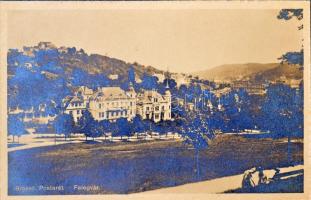 Brassó, Kronstadt, Brasov; címeres, díszes képeslapalbum, 10 db beragasztott képeslappal, Zeidner H....