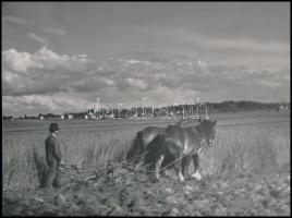cca 1940 Osoha László (1899-1970): Szántás Csurgó határában, 2 db vintage fotóművészeti alkotás, az ...