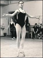 cca 1975 Balettjelenetek, 4 db vintage fotó, jelzett képek, 24x18 cm