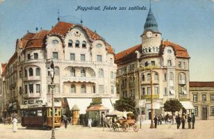 Nagyvárad Hotel Fekete Sas