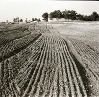 cca 1965 Kecskemét környéki tájak és tanyák, 13 db vintage negatív Dezső Pál kecskeméti fotóművész hagyatékából, néhányhoz kontakt nézőkép is mellékelve, 6x6 cm