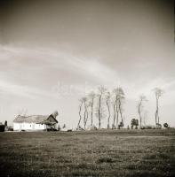 cca 1965 Kecskemét környéki tájak és tanyák, 13 db vintage negatív Dezső Pál kecskeméti fotóművész h...