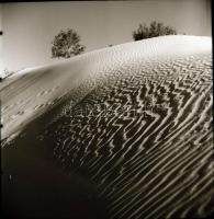 cca 1965 Kecskemét környéki tájak és tanyák, 13 db vintage negatív Dezső Pál kecskeméti fotóművész h...