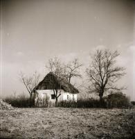 cca 1965 Kecskemét környéki tájak és tanyák, 13 db vintage negatív Dezső Pál kecskeméti fotóművész h...