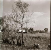 cca 1965 Kecskemét környéki tájak és tanyák, 13 db vintage negatív Dezső Pál kecskeméti fotóművész h...